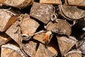 Closeup photo of dry logs stacked in rows, illuminated by sunlight. Pattern and structure of the tree. Decorative wooden layout.