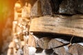 Closeup photo of dry logs stacked in rows, illuminated by sunlight. The structure of the tree. Decorative wooden layout. Angle