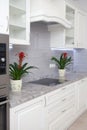 Closeup photo of epmty minimalistic interior background, kitchen in modern apartment with counter, equipment and flowers on table Royalty Free Stock Photo