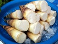 Bamboo Shoots/Bamboo Sprouts Royalty Free Stock Photo