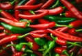 Closeup photo of fresh red chilies