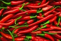 Closeup photo of fresh red chilies