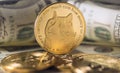 Closeup photo of gold coin with dogecoin symbol and dollar bills