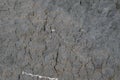 closeup photo of gray rock textured for background, 3d rendering, architecture, or interior, or exterior