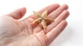 Closeup photo of a human hand holding a little glowing shining star