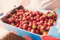 Man carrying a large box of strawberries