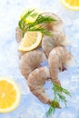 Closeup photo of large size of frozen raw shrimp with tail removed. Royalty Free Stock Photo