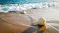 Closeup image of line of floating buoys lying on the wet sand at sea shore Royalty Free Stock Photo