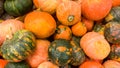 Closeup image of lots of ripe pumpkins lying on counter at grocery store. Closeup texture or pattern of fresh ripe