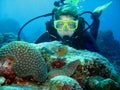 Closeup photo of a moray eels and a scuba diver. They look at each other.