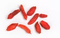 Closeup photo of nine goji berry wolfberry - Lycium chinense dried fruits isolated on white background, view from above Royalty Free Stock Photo
