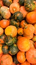 Closeup photo of orange pumpking in begetable soter.Closeup texture or pattern of fresh ripe vegetables. Beautiful food