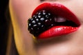 Closeup photo of red female lips with blackberry in teeth