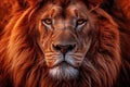 Closeup Photo Of A Regal And Vibrant Lion Surrounded By Fiery Hues