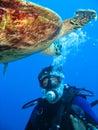 Closeup photo of a sea turtle and a scuba diver. They look at each other. Royalty Free Stock Photo