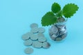 Green plant grows in jar with coins Royalty Free Stock Photo