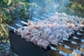 Closeup photo of souvlaki, which is fried on the chargrill in the camp at sunset. Smoke rises from the grill