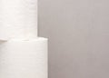 Closeup photo of two white toilet paper rolls standing one at another against the gray wall in bathroom