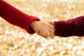 Closeup photo of warm handshake of two persons in red knitted sweaters isolated on blurred golden foliage background Royalty Free Stock Photo