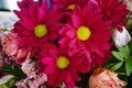 Closeup photograph of a banquet table set with red flowers, giving a festive and celebratory feel Royalty Free Stock Photo