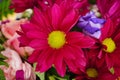 Closeup photograph of a banquet table set with red flowers, giving a festive and celebratory feel Royalty Free Stock Photo