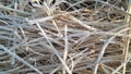 A closeup photograph of dry cut grass blades covered in frosted ice crystals Royalty Free Stock Photo