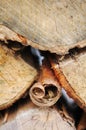 Closeup photograph of curled bark in stacked firewood