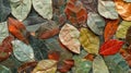 A closeup photograph of a geometric leaf pattern created with various sized and colored leaves arranged in a mosaicstyle Royalty Free Stock Photo