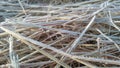 A closeup photograph of ice crystals on blades of grass Royalty Free Stock Photo