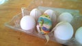 A closeup photograph of a single painted plastic Easter egg nested inside of a plastic egg carton with several real chicken eggs Royalty Free Stock Photo