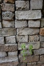 Concrete bricks