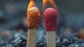 A closeup photograph of two matches their heads touching and creating a single flame symbolizing the merging of two Royalty Free Stock Photo