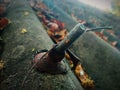 A closeup photography of a iron object.