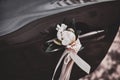 Closeup photo of decorater car`s door with white roses and silk bow.