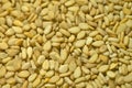 A Closeup phptpgraph of a heap of Sesame seeds. Royalty Free Stock Photo