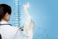 A physiotherapist operating with artificial spine model Royalty Free Stock Photo