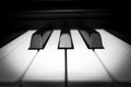 Closeup piano key. Royalty Free Stock Photo