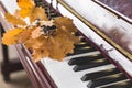 Closeup of piano keys with oak leaves on them. Music concept. Autumn Royalty Free Stock Photo