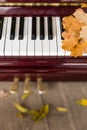 Closeup of piano keys with oak leaves on them. Music concept. Autumn Royalty Free Stock Photo