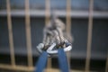 Closeup pic of blue tapes sling rigged with locking karabiners and clipping into static twin ropes, as safely Y hang rope anchor 