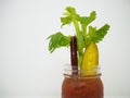 Closeup of pickled cucumber with celery in a jar. Royalty Free Stock Photo