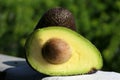 Horizontal closeup sunlit fresh avocado and one cut in half with its stone outdoors with a green background
