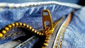 Closeup picture of denim zipper. Stock image photography. Royalty Free Stock Photo