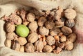 Closeup picture of lots of walnuts in an old fabric, outdoor shot