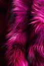 A closeup picture of a luxurious magenta faux fur fabric its multicolored strands creating a rich Trendy color of 2023