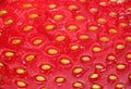 Closeup picture of strawberry background