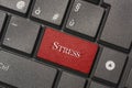 Closeup picture of Stress button of keyboard of a modern computer Royalty Free Stock Photo