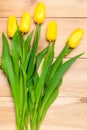 Closeup picture of yellow tulips Royalty Free Stock Photo