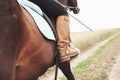 Closeup picture of young beautiful woman rides a horse