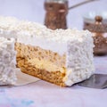 Closeup of the piece of coconut cheesecake covered with grated coconut with a blurry background